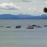 DSC03842_01 (June 15, 2020)
